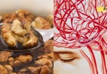 გაეცანით 5 ყველაზე ეფექტურ მეთოდს თავის ტვინის სისხლძარღვების გასაწმენდად. ის, რაც ყველას სჭირდება!