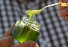 მიიღეთ მხოლოდ 2 ჩ. კ. დღეში და დაივიწყებთ კოლიტს, გასტრიტს, წყლულს, ყაბზობას და თირკმელებში კენჭებს!