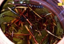 თუ გაწუხებთ შარდის შეუკავებლობა, გამოიყენეთ ეს რეცეპტი, ის თქვენთვის ხსნა იქნება..