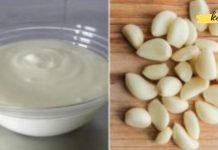 ნიორი და იოგურტი: კომბინაცია, რომელიც საოცარ გავლენას ახდენს ჯანმრთელობაზე