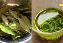 ჩვენ ყველას გვაქვს ის სახლში და ცოტამ თუ იცის, რამდენად ძლიერია მისი ეფექტი ჩენს ორგანიზმზე!