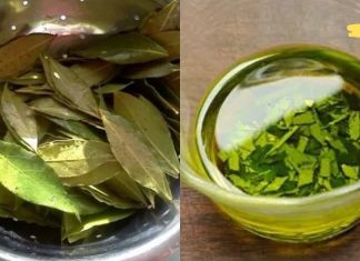 ჩვენ ყველას გვაქვს ის სახლში და ცოტამ თუ იცის, რამდენად ძლიერია მისი ეფექტი ჩენს ორგანიზმზე!