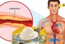 საუკეთესო საშუალება ქოლესტერინისა და მაღალი წნევის წინააღმდეგ