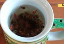 დააქუცმაცეთ 5 გრ კომშის თესლი და დაასხით 100 მლ წყალი! ბებიას რეცეპტი ბრონქიტის სამკურნალოდ!