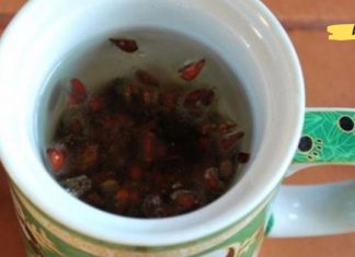 დააქუცმაცეთ 5 გრ კომშის თესლი და დაასხით 100 მლ წყალი! ბებიას რეცეპტი ბრონქიტის სამკურნალოდ!