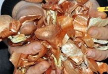 აი, რატომ არ უნდა გადააგდოთ წითელი ხახვის კანი: მათ შეუძლიათ სასწაულების მოხდენა თქვენი ჯანმრთელობისთვის!