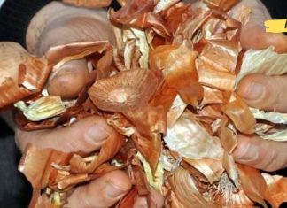 აი, რატომ არ უნდა გადააგდოთ წითელი ხახვის კანი: მათ შეუძლიათ სასწაულების მოხდენა თქვენი ჯანმრთელობისთვის!