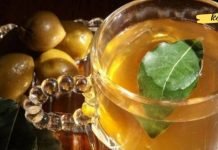 დაფნის ფოთოლის სასმელი წმენდს ორგანიზმს ტოქსინებისა და მარილებისგან! აი როგორ უნდა მოამზადო ის..