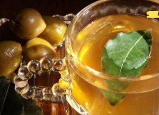 დაფნის ფოთოლის სასმელი წმენდს ორგანიზმს ტოქსინებისა და მარილებისგან! აი როგორ უნდა მოამზადო ის..