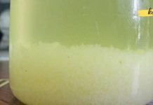 ის ამ სასმელს ყოველდღე სვამდა – მან 124 წლამდე იცოცხლა! სასწაულმოქედი საშუალებაა!