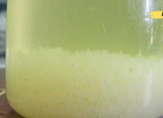 ის ამ სასმელს ყოველდღე სვამდა – მან 124 წლამდე იცოცხლა! სასწაულმოქედი საშუალებაა!