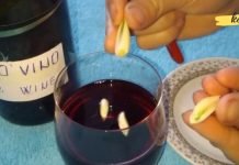 მან ღვინოში ნიორი ჩაყარა და წარმოუდგენლად ჯანსაღი სასმელი მიიღო