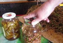 დიდი ხნის მანძილზე ვერ ვუმკლავდებოდი უძილობას.. ბოლოს ამ მეთოდს მივმართე და როგორც იქნა შევძელი დაძნება