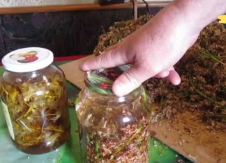 დიდი ხნის მანძილზე ვერ ვუმკლავდებოდი უძილობას.. ბოლოს ამ მეთოდს მივმართე და როგორც იქნა შევძელი დაძნება