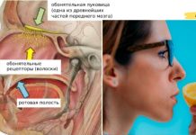 როგორ დავიბრუნოთ დაკარგული ყნოსვა? ეს ბევრისთვის სასარგებლო იქნება..