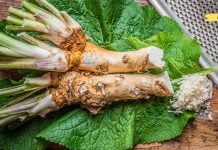 ეს ყველაზე ძლიერი საშუალებაა, რაც კი ოდესმე გამომიცდია! მისი გამოყენების შემდეგ საგრძნობლად გამიუმჯობესდა მეხსიერება, მხედველობა და სმენა. გირჩევთ თქვენც სცადოთ..