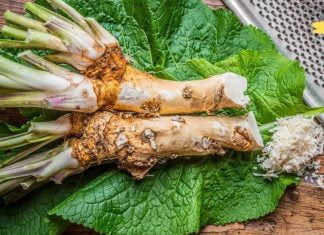 ეს ყველაზე ძლიერი საშუალებაა, რაც კი ოდესმე გამომიცდია! მისი გამოყენების შემდეგ საგრძნობლად გამიუმჯობესდა მეხსიერება, მხედველობა და სმენა. გირჩევთ თქვენც სცადოთ..