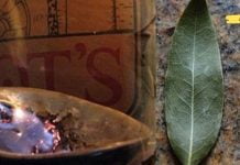 ეს ფოთოლი ბუნების საჩუქარია: ებრძვის მაღალ წნევას, შაქარს და უძილობას! დადასტურებული მეთოდი!