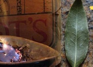 ეს ფოთოლი ბუნების საჩუქარია: ებრძვის მაღალ წნევას, შაქარს და უძილობას! დადასტურებული მეთოდი!