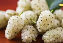 ეს სუპერ საკვები კურნავს დიაბეტს. დაამატეთ თქვენს დიეტას!