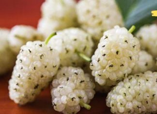 ეს სუპერ საკვები კურნავს დიაბეტს. დაამატეთ თქვენს დიეტას!