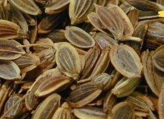 ამას არცერთი ექიმი არ გეტყვის. პანკრეასის მკურნალობა ბებიის რეცეპტით!