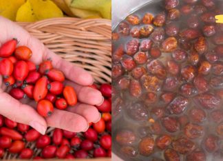 ეს სასწაული მეთოდია ღვიძლის გასაწმენდად! მისი ეფექტიურობა დადასტურებულია!