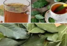 დალიეთ დაფნის ჩაი ხველის დროს: სახლის სამკურნალო საშუალება, რომელიც დაგეხმარებათ ხველის მოცილებაში..