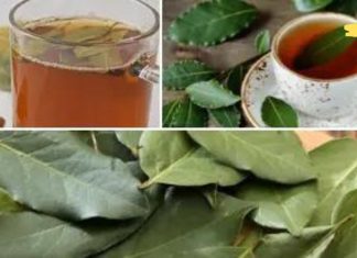 დალიეთ დაფნის ჩაი ხველის დროს: სახლის სამკურნალო საშუალება, რომელიც დაგეხმარებათ ხველის მოცილებაში..