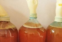 როგორ მოვამზადოთ ვაშლის ძმარი სახლში? მე სულ ამ მეთოდით ვამზადებ