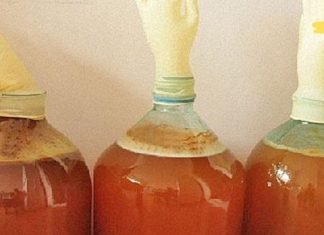 როგორ მოვამზადოთ ვაშლის ძმარი სახლში? მე სულ ამ მეთოდით ვამზადებ