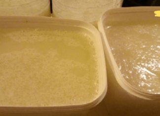 მოიშორეთ ძვლების, მყესების და სახსრების ტკივილი სულ რაღაც 1 კვირაში!