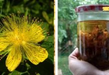 საჯდომის ნერვის ტკივილმა გამაგიჟა. ბოლოს ეს საშუალება გამოვიყენე და დავისვენე! ყველას ვურჩევ მის გამოყენებას!