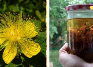 საჯდომის ნერვის ტკივილმა გამაგიჟა. ბოლოს ეს საშუალება გამოვიყენე და დავისვენე! ყველას ვურჩევ მის გამოყენებას!