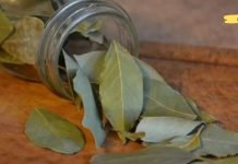 გააკეთეთ ხველის ჩაი დაფნის ფოთოლით: სახლის სამკურნალო საშუალება, რომელიც უმოკლეს დროში მოგიხსნით ხველას!