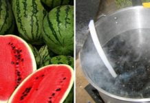 მოამზადეთ ჩაი საზამთროს კურკებით თირკმელებში ქვების და ქვიშის მოსაშორებლად.