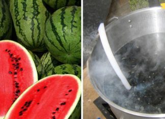 მოამზადეთ ჩაი საზამთროს კურკებით თირკმელებში ქვების და ქვიშის მოსაშორებლად.