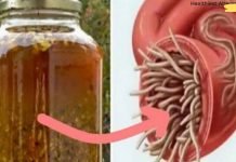 აქ არის ყველაზე ძლიერი ბუნებრივი ანტიბიოტიკი მსოფლიოში! მოკლავს ნებისმიერ ინფექციას!