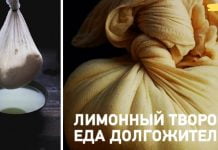 ლიმონის ხაჭო – ასწლოვანის საკვები, რომელიც ძალიან საჭირო და სასარგებლოა ჩვენი ჯანმრთელობისთვის!