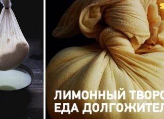 ლიმონის ხაჭო – ასწლოვანის საკვები, რომელიც ძალიან საჭირო და სასარგებლოა ჩვენი ჯანმრთელობისთვის!