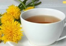 ყველასთვის ცნობილი სარეველა კალციუმზე უკეთ აშენეს ძვლებს, ასუფთავებს ღვიძლს და შეუძლია ეგზემისა და ფსორიაზის მკურნალობა