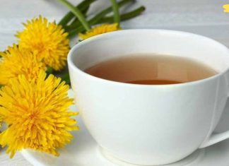 ყველასთვის ცნობილი სარეველა კალციუმზე უკეთ აშენეს ძვლებს, ასუფთავებს ღვიძლს და შეუძლია ეგზემისა და ფსორიაზის მკურნალობა