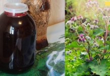 ვარ 62 წლის და ახლა პენსიაზე გავედი. ადრე მუდმივად ავად ვიყავი, მაგრამ შემდეგ წავაწყდი ნაყენის რეცეპტს და მინდა მისი რეცეპტი გაგიზიაროთ!..