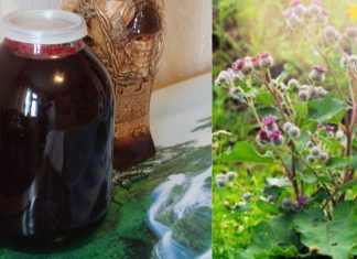 ვარ 62 წლის და ახლა პენსიაზე გავედი. ადრე მუდმივად ავად ვიყავი, მაგრამ შემდეგ წავაწყდი ნაყენის რეცეპტს და მინდა მისი რეცეპტი გაგიზიაროთ!..