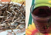 ძალიან მადლობელი ვარ ამ “ჯადოსნური” რეცეპტის – ახლა ღამით ტუალეტში არ დავრბივარ!