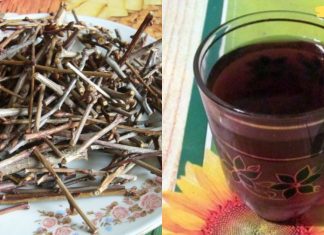 ძალიან მადლობელი ვარ ამ “ჯადოსნური” რეცეპტის – ახლა ღამით ტუალეტში არ დავრბივარ!