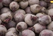 მე ვარ 60 წლის და ამ მცენარემ დამიბრუნა მხედველობა, ამოიღო ცხიმი ღვიძლიდან და მთლიანად გამიწმინდა მსხვილი ნაწლავი!