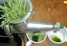 ეს არის აღმოჩენა მათთვის, ვისაც სურს იცხოვროს სიბერემდე დაავადებების გარეშე!..