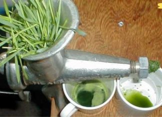 ეს არის აღმოჩენა მათთვის, ვისაც სურს იცხოვროს სიბერემდე დაავადებების გარეშე!..