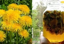 ყველაზე ძლიერი ზეთი სახსრების, კისრის, ართრიტის, ჩიყვის, გულმკერდის ცისტების, თავის ტკივილის და სხვათა სწრაფად მოსაშორებლად!